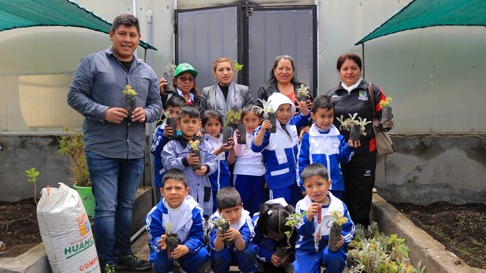 plantas