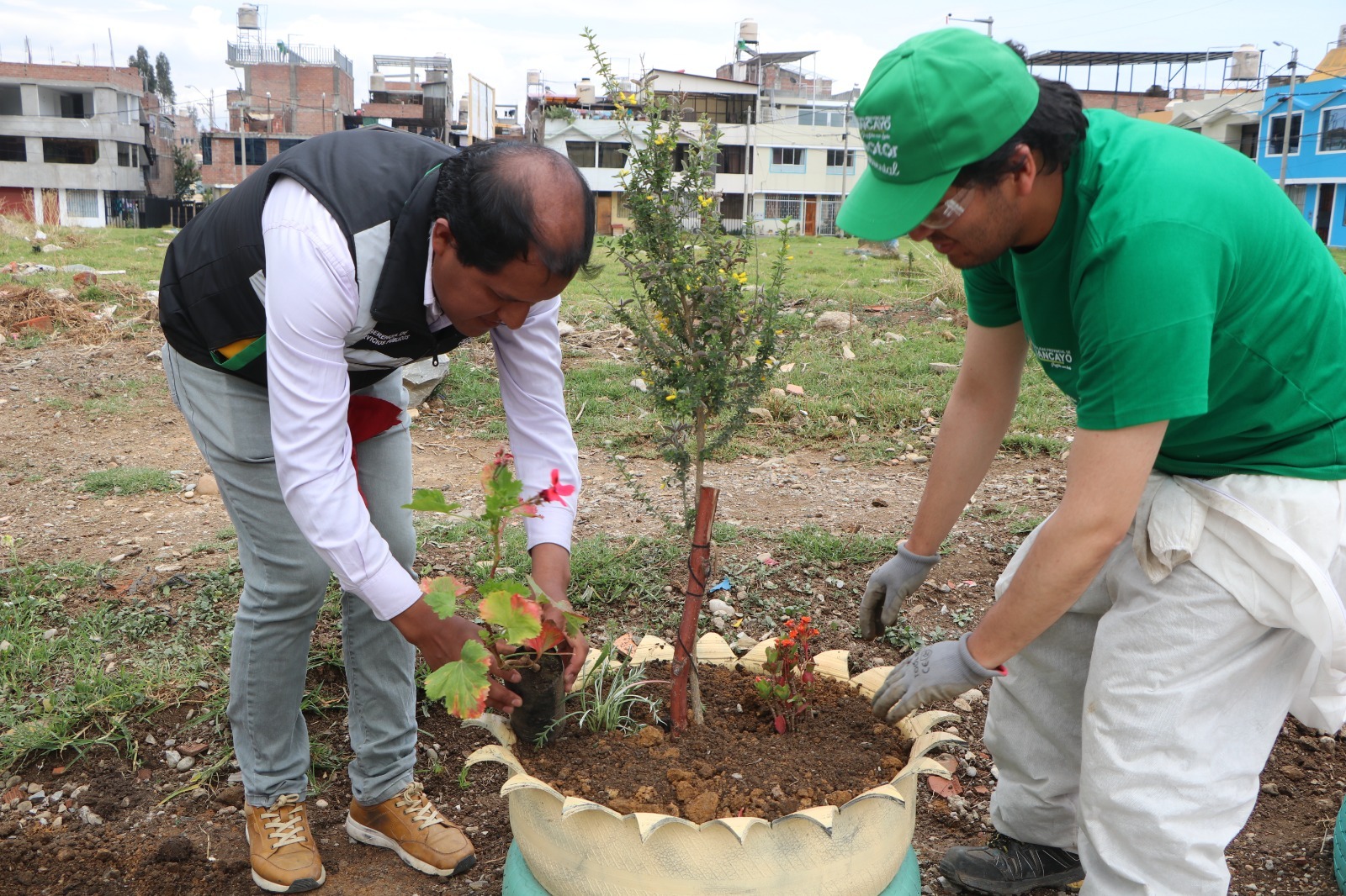 PLANTAS